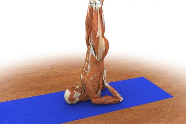 Άσκηση δύναμης Birch